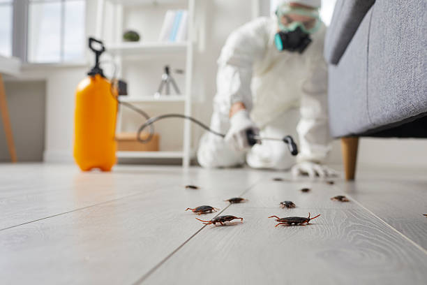 Commercial Kitchen Cockroach Control in Ardsley